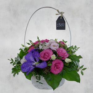 Весёлый день